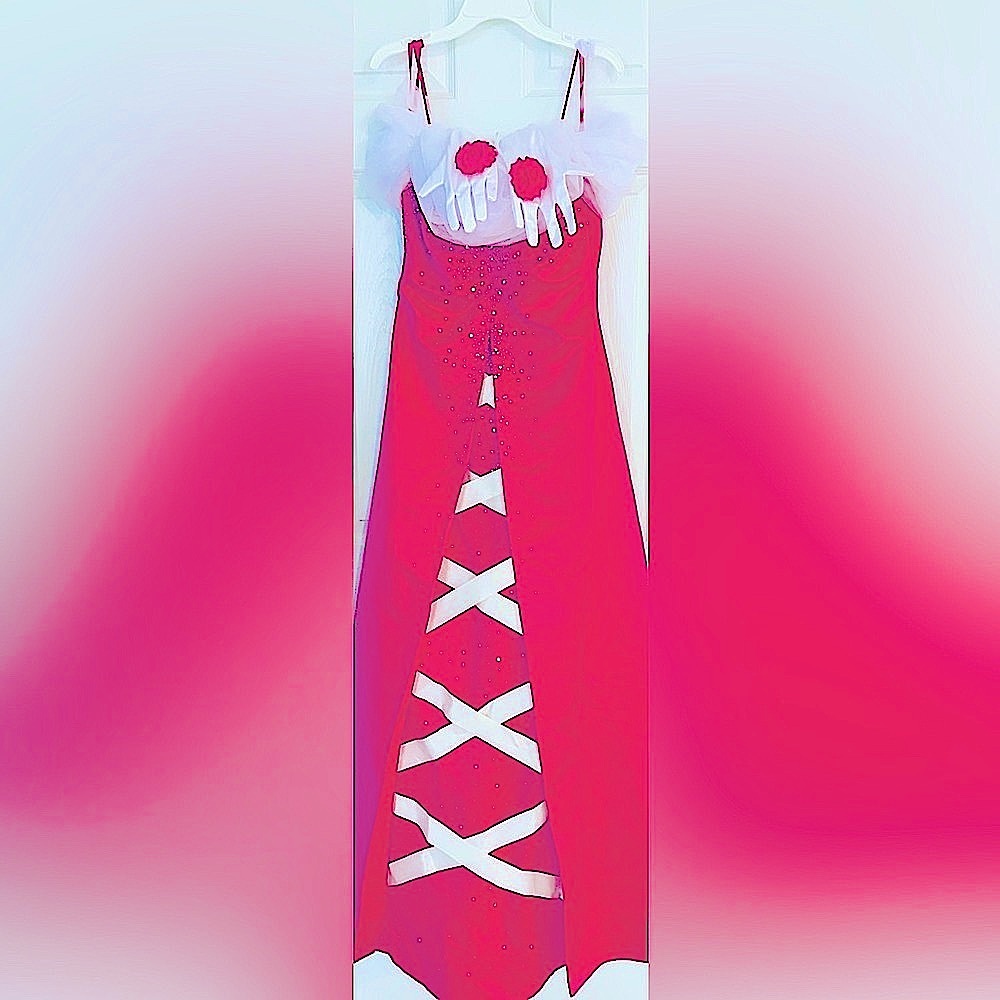 PRINCESS AURORA / SLEEPING BEAUTY Custom-Made Adult Halloween 🎃 costume